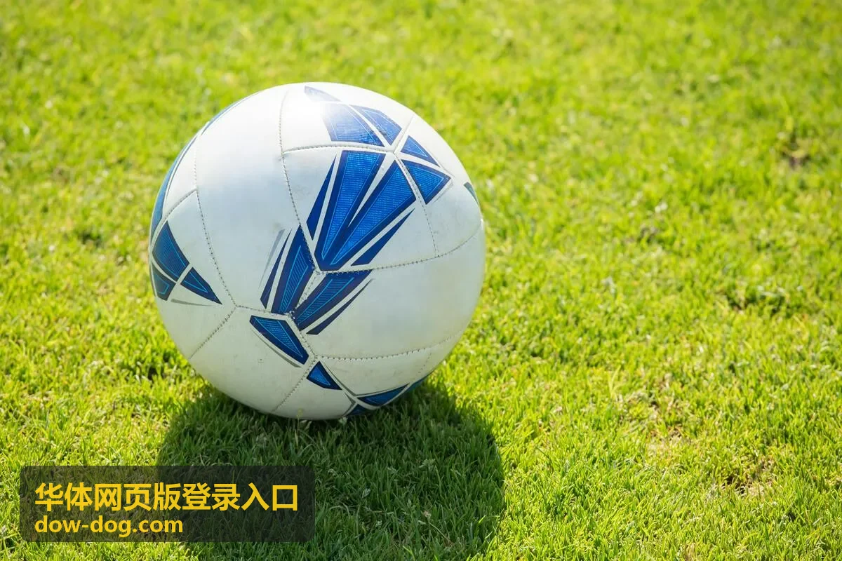 华体网页版登录入口通道入口说明配图