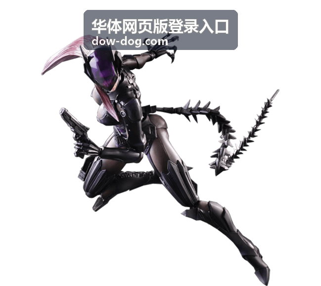 华体网页版登录入口功能与操作说明配图
