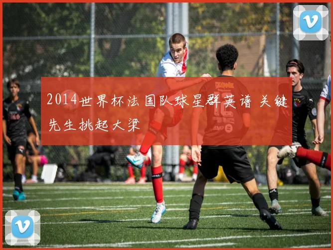 2014世界杯法国队球星群英谱 关键先生挑起大梁