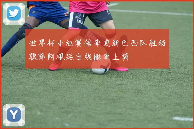 世界杯小组赛倍率更新巴西队胜赔骤降阿根廷出线概率上调