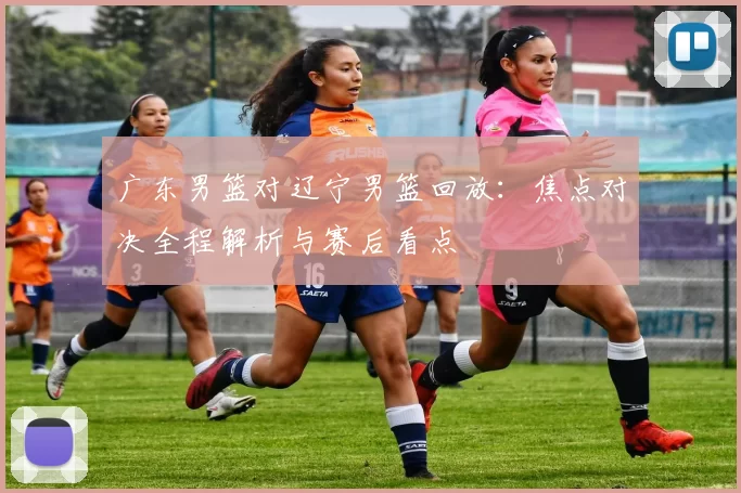 广东男篮对辽宁男篮回放：焦点对决全程解析与赛后看点