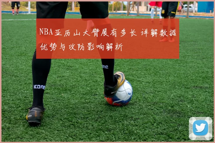 NBA亚历山大臂展有多长 详解数据优势与攻防影响解析