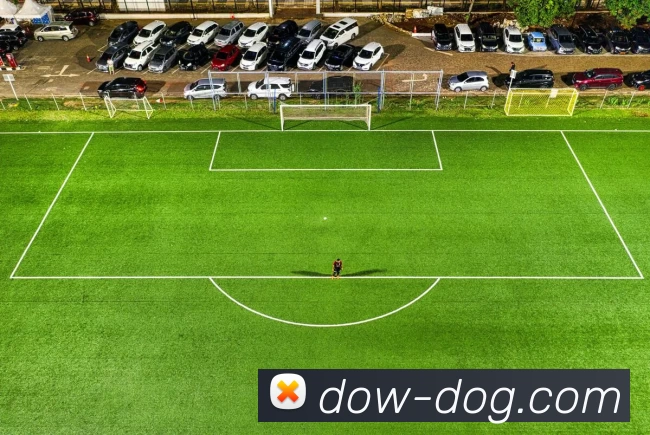 App Interface Preview