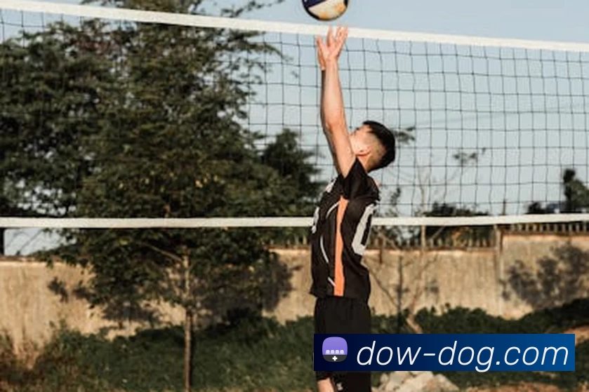 米兰体育在线登陆入口APP 封面图